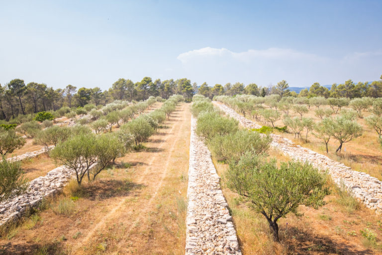 Château la Martinette
