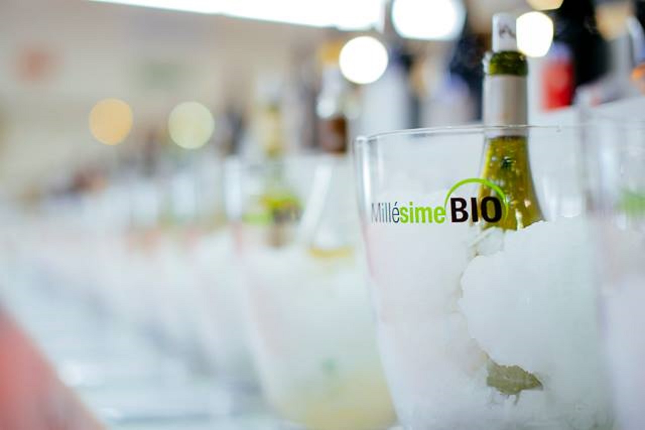 Art et Gastronomie au Cœur du Var