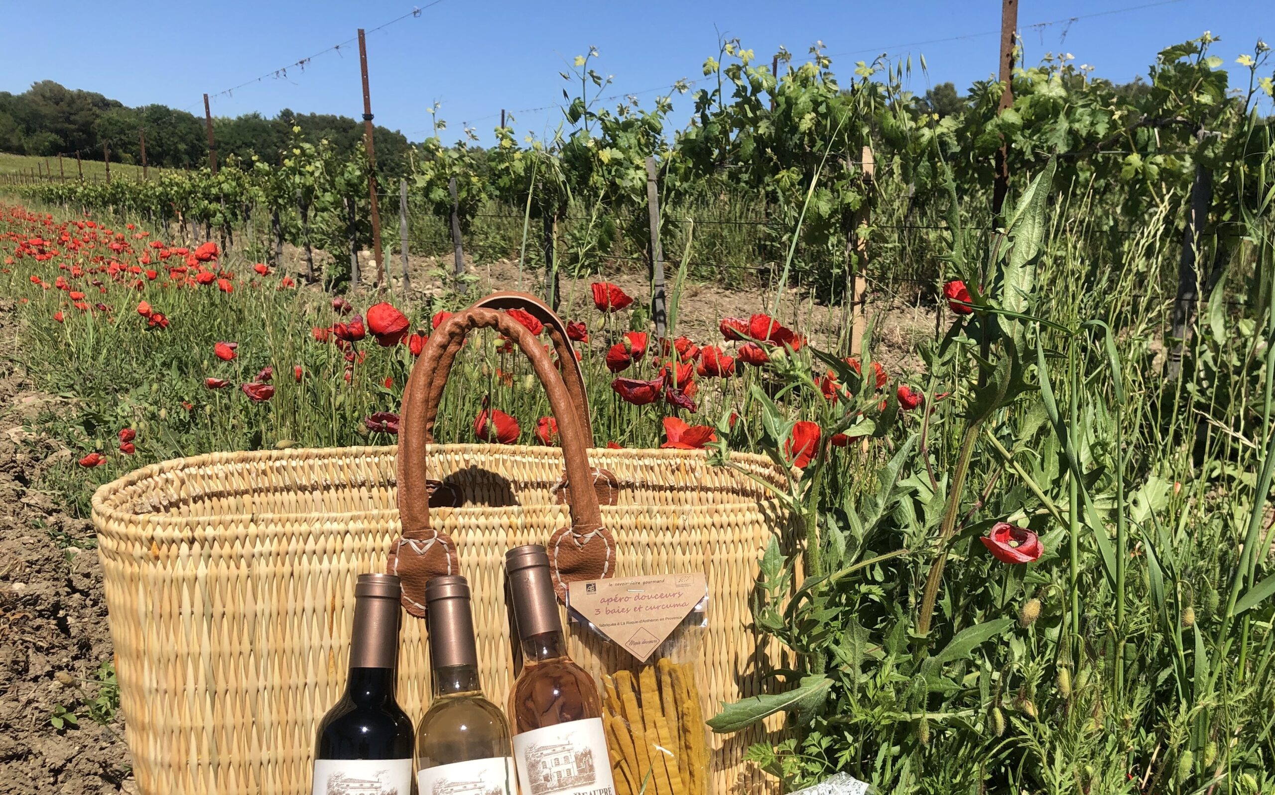 Art et Gastronomie au Cœur du Var