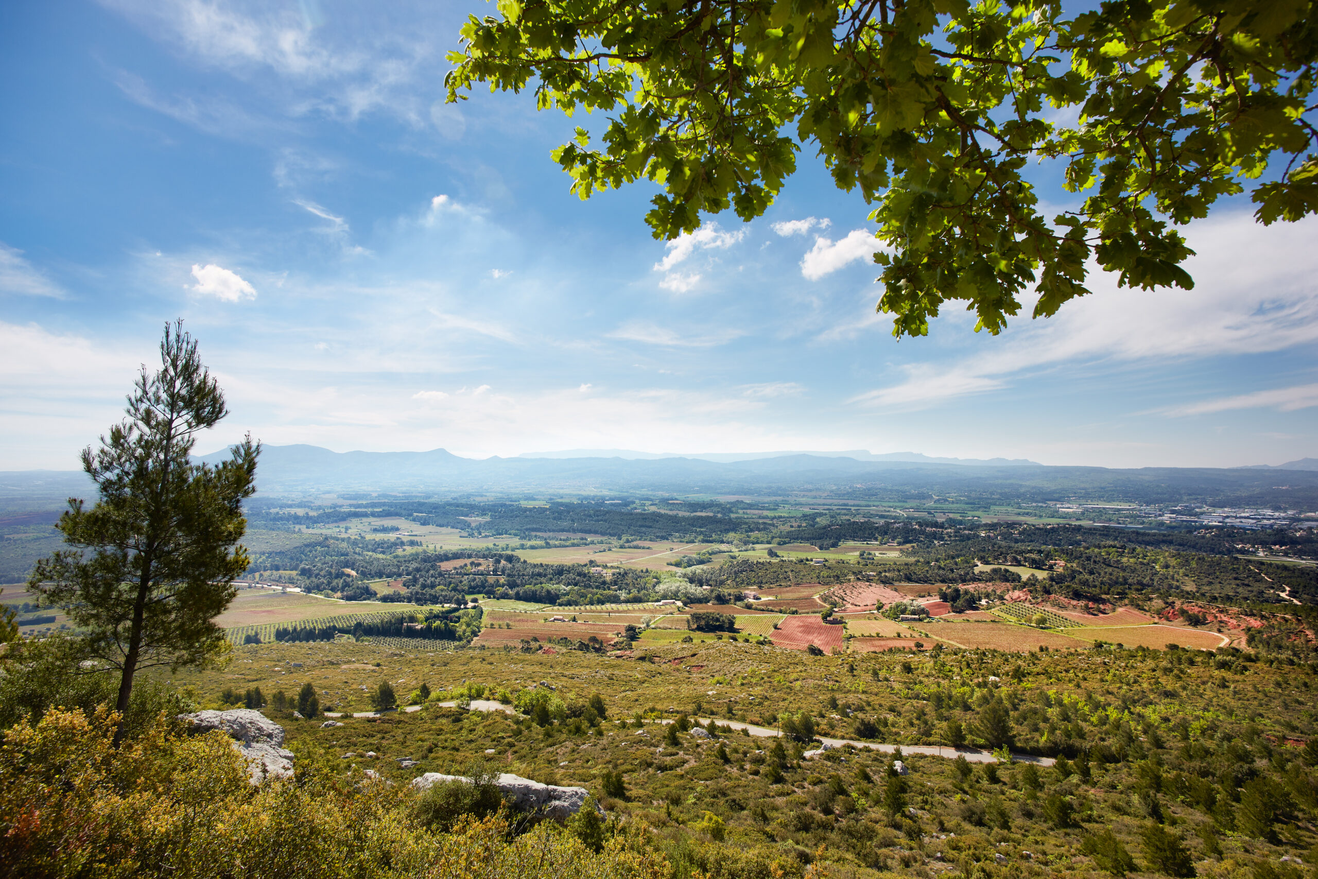 Art et Gastronomie au Cœur du Var